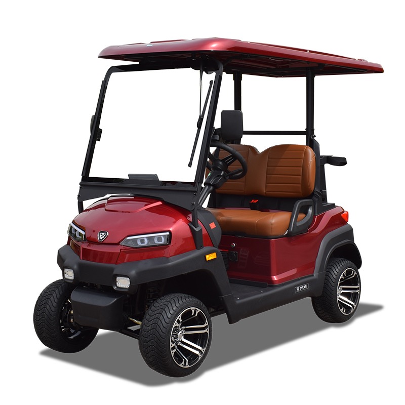 2-Seater-Golf Cart - Image 17