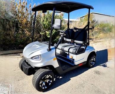 2-Seater-Golf Cart - Image 7