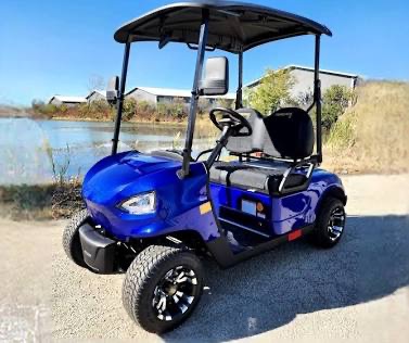 2-Seater-Golf Cart - Image 10