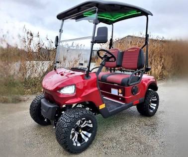 2-Seater-Golf Cart - Image 3