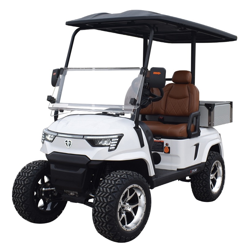 2-Seater-Golf Cart - Image 19