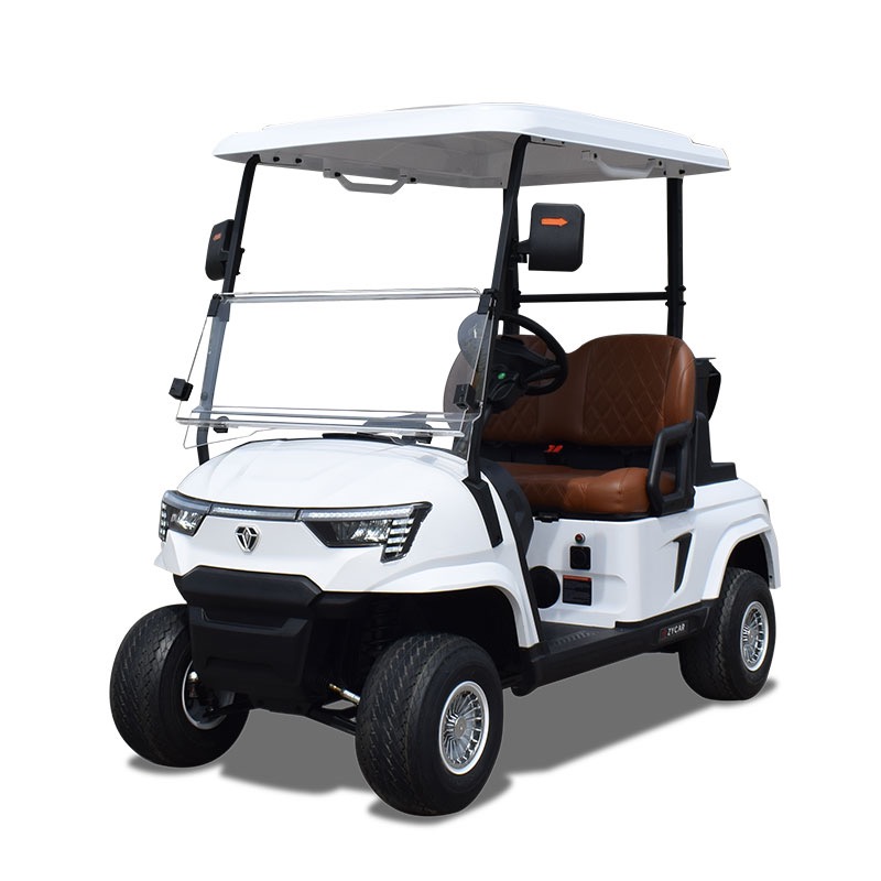 2-Seater-Golf Cart - Image 15