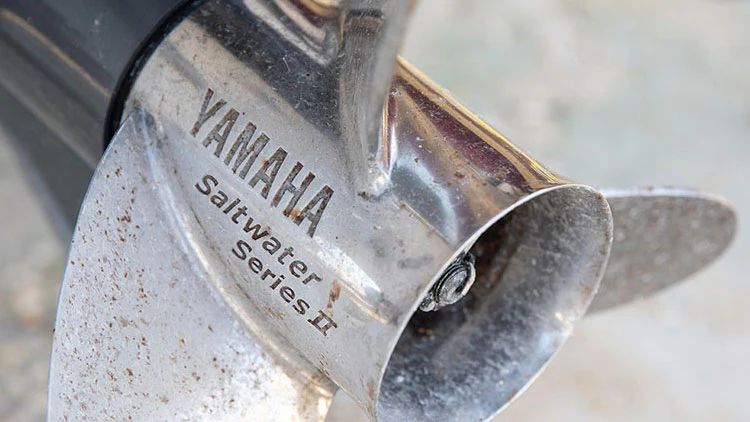 Yamaha Corrosion Prevention 101