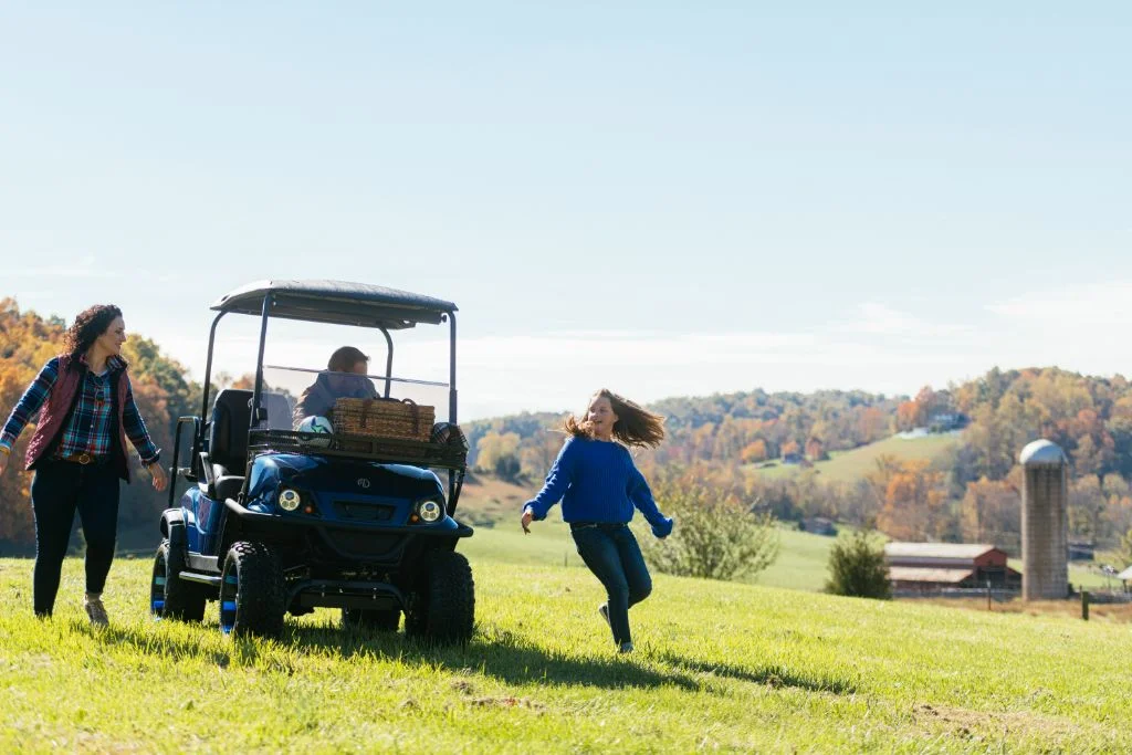 Electric Golf Carts Motors